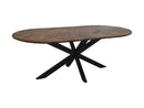 Ovale Eettafel Mozaiek | 220 cm