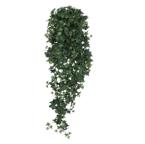 Hangplant Greens Hedera