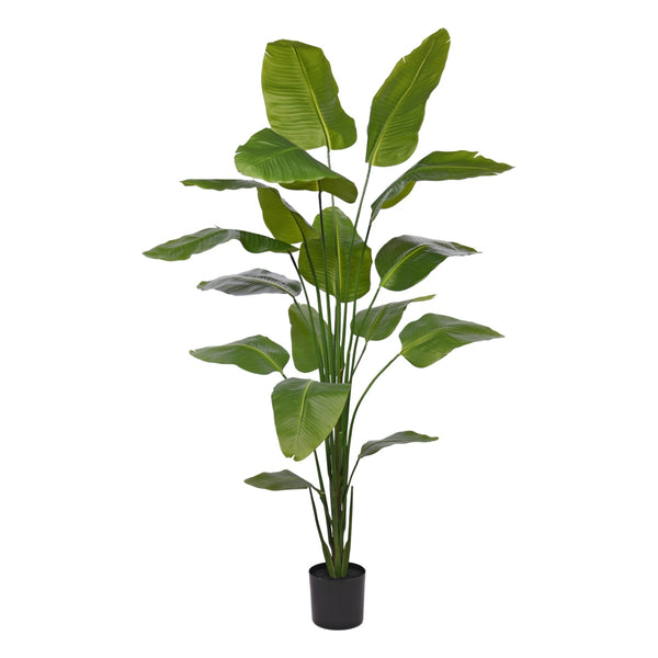 Kunstplant Greens Strelitzia