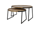 Ovale Salontafel Paulson | Set