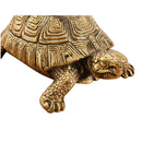  - Messing Schildpad - Veelado