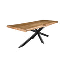 Tree trunk table Live Edge | 300 cm