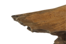 Rechthoekige Salontafel Root | 90 cm