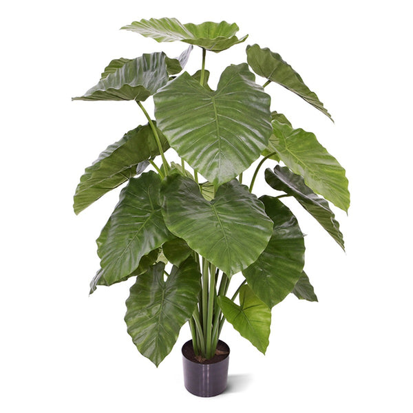 Kunstplant Greens Alocasia