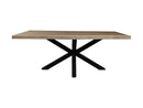 Rechthoekige Eettafel | 250 cm